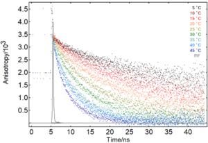 Fluoracle Anisotropy