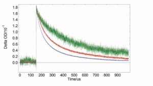 Normalised ΔOD traces illustrate how the lifetime decreases as pump energy increases