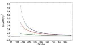 Absorption kinetics of the triplet state of anthracene in cyclohexane measured using different laser energies, shown in different colours 