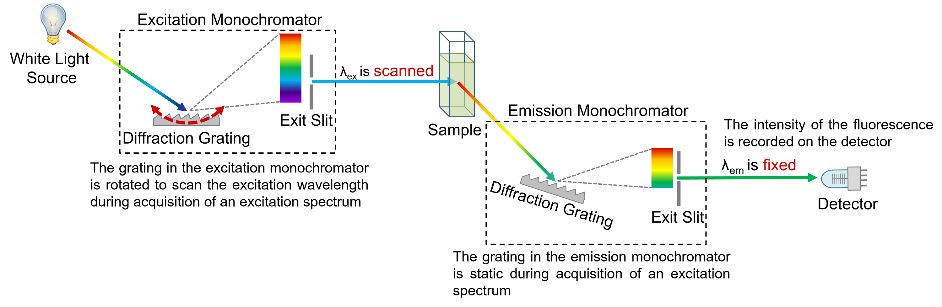방출 스펙트럼: excitation spectra spectrofluorometer diagram