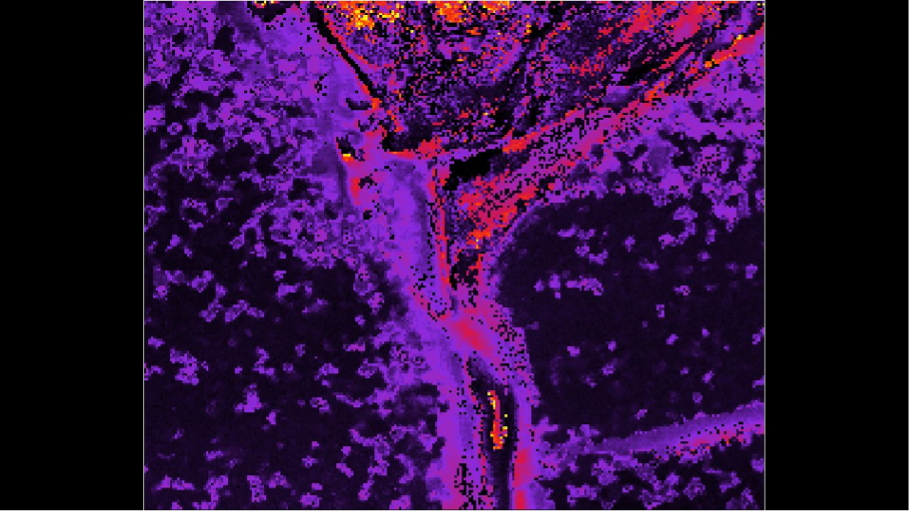 2D Raman mapping showing nanocrystalline silicon and strain (pink, yellow, red) in a defective wafer