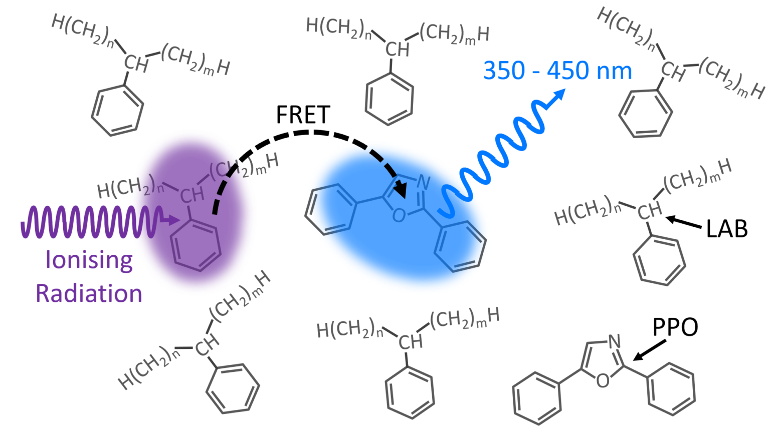 Energy Transfer In A Liquid Scintillator Investigated Using Time ...