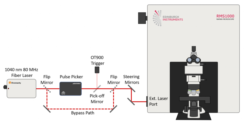 Two photon microscopy setup