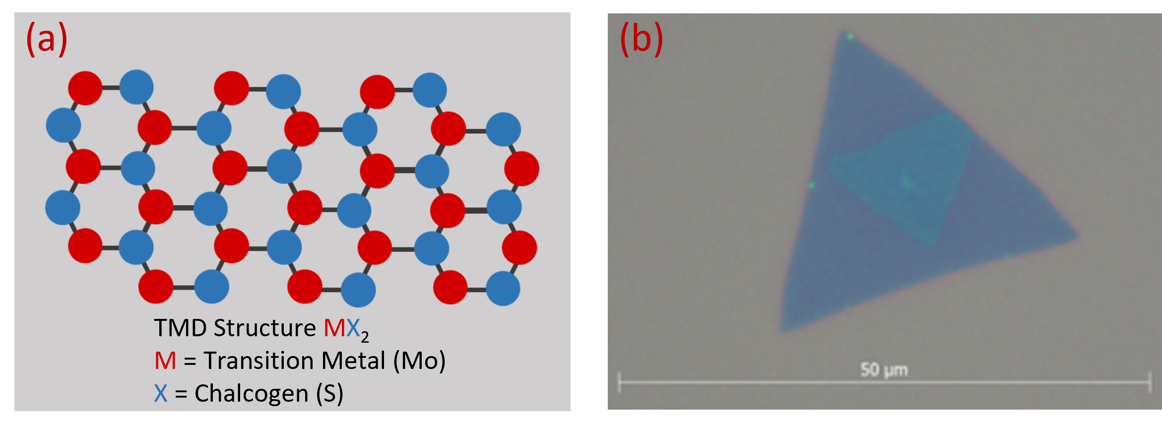 MoS2 structure and microscope image