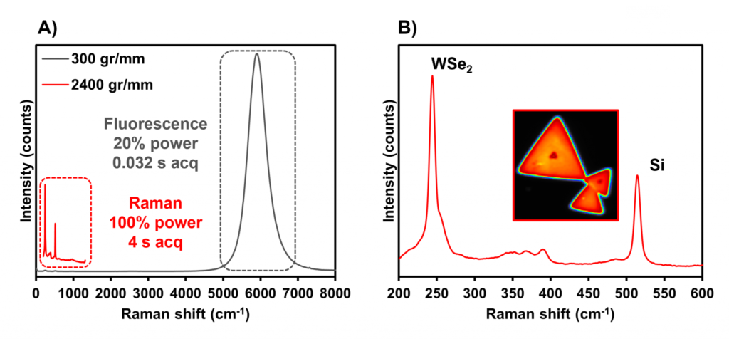 Transition metal dichalcogenide Raman