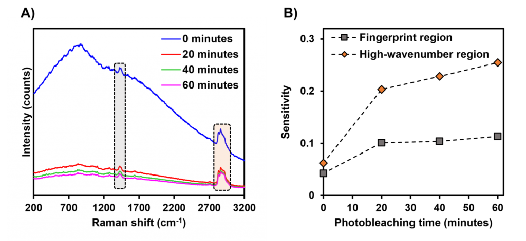 Photobleaching Raman spectroscopy