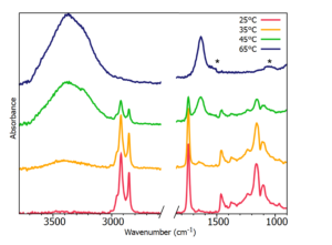 Temperature study on a water-in-oil emulsion