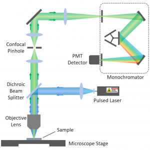 What is FLIM? | Fluorescence lifetime imaging | Microscopy