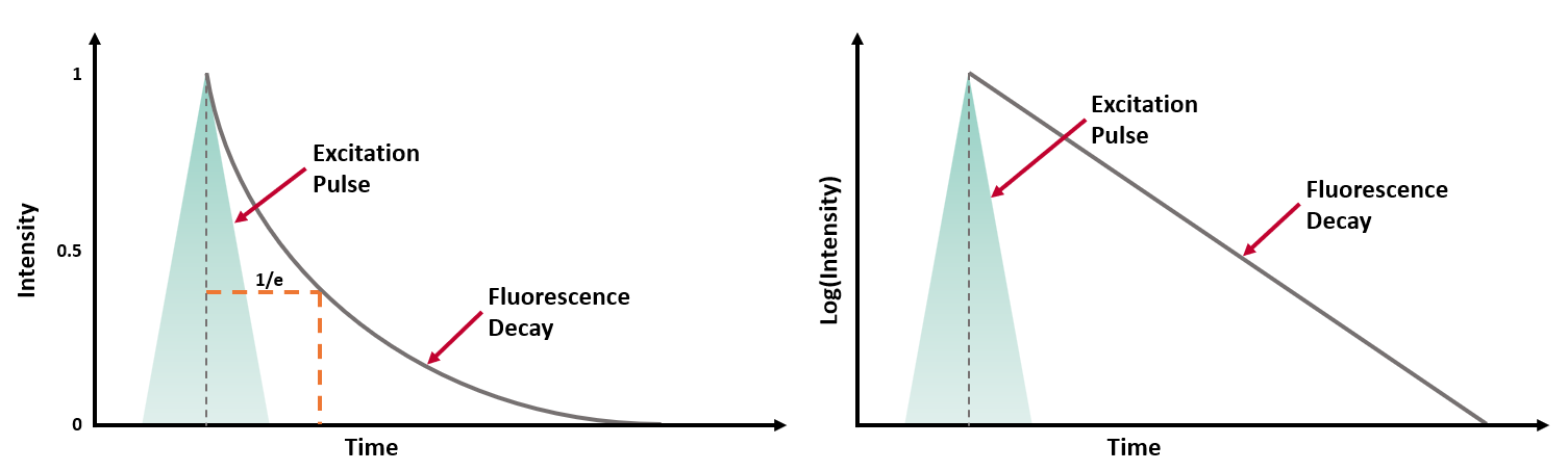 A single exponential decay and fitting result