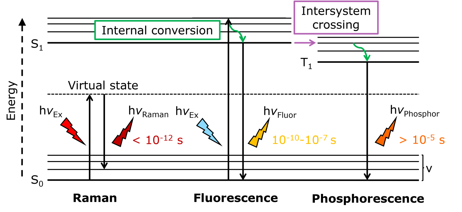 Jablonski diagram showing the energy transitions and relative timeframes of Raman scattering, fluorescence, and phosphorescence. 