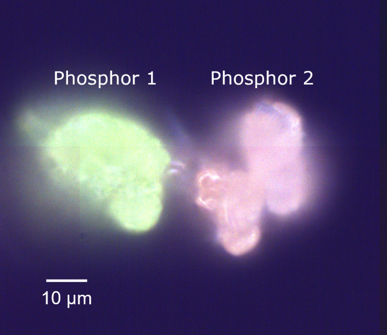 Darkfield image of phosphors 1 and 2 