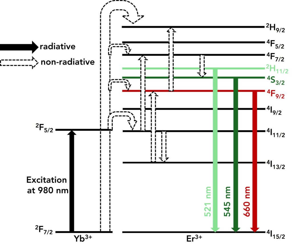 erbium and ytterbium upconversion energy level diagram