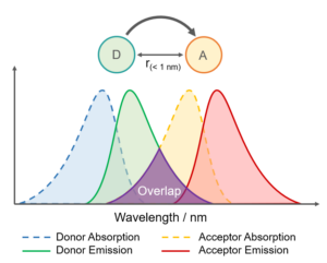  spectral overlap for Dexter energy transfer