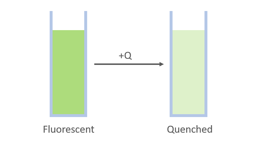 What is fluorescence quenching? | Edinburgh Instruments