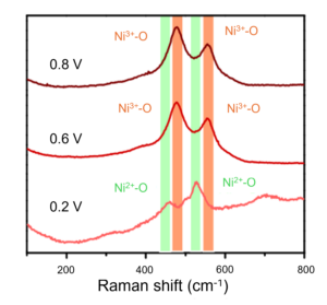 Operando Raman spectroscopy of NiFe LDH anode during an OER