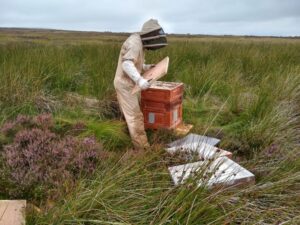 Mark in his beekeeping attire attending to his hive