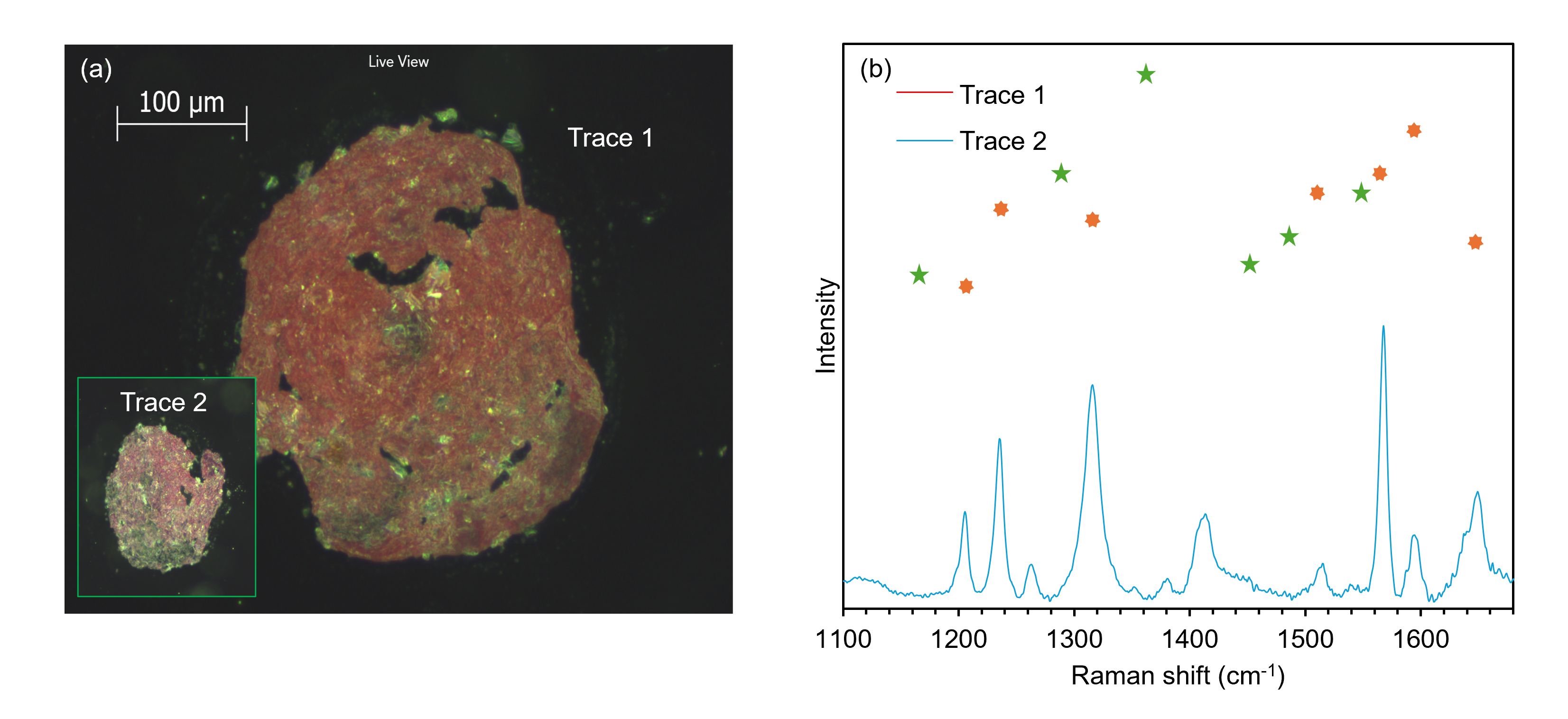 Comparative Raman spectroscopic analysis of paint traces