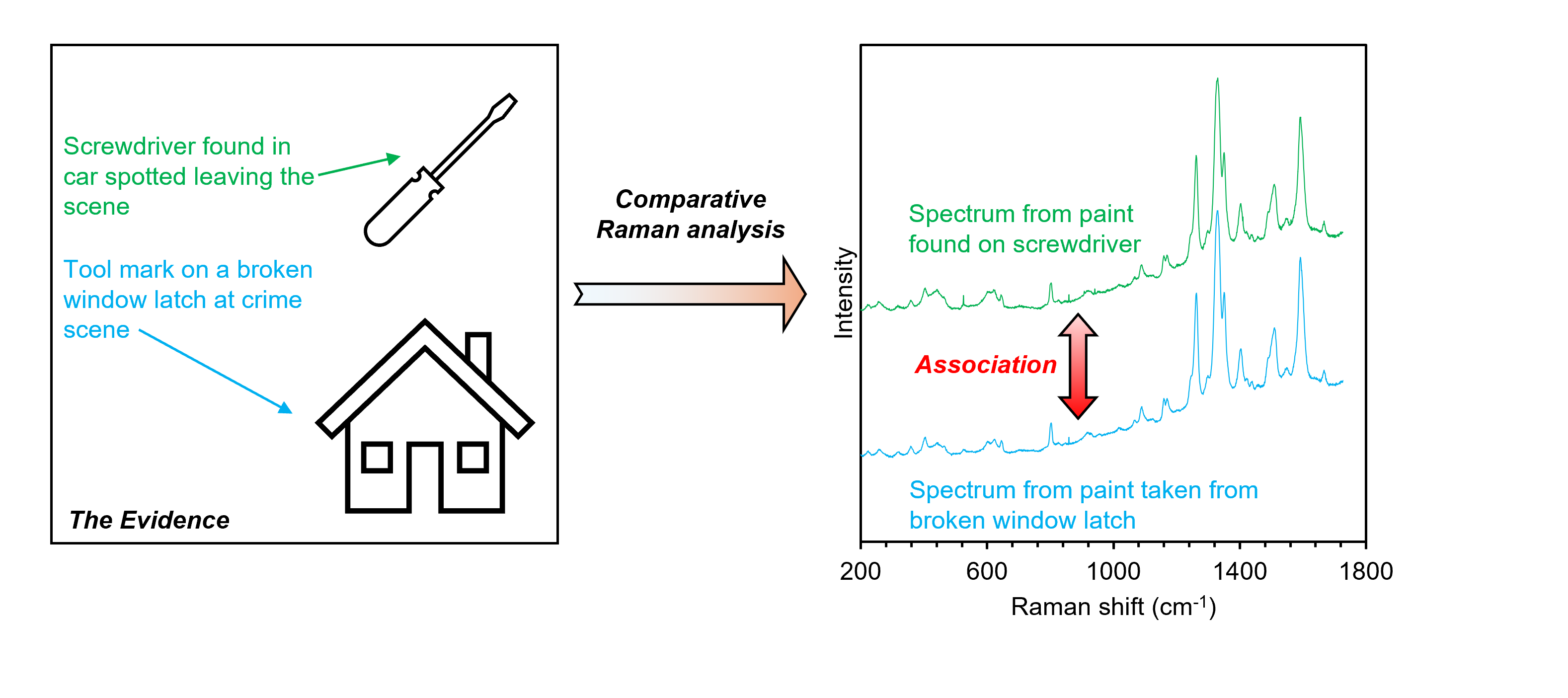 comparative Raman analysis of paint traces could be used for forensic crime scene investigations