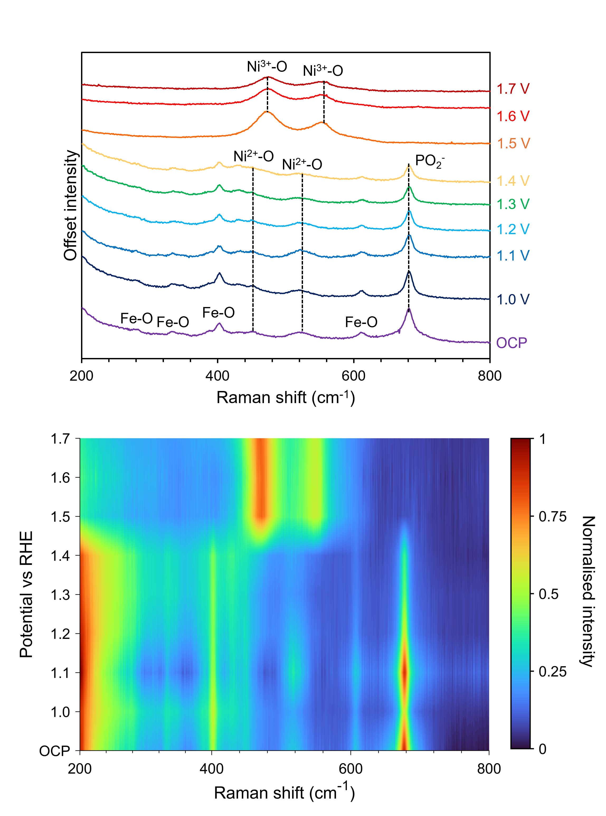 Operando Raman spectroscopy of NiFePx anode during an OER