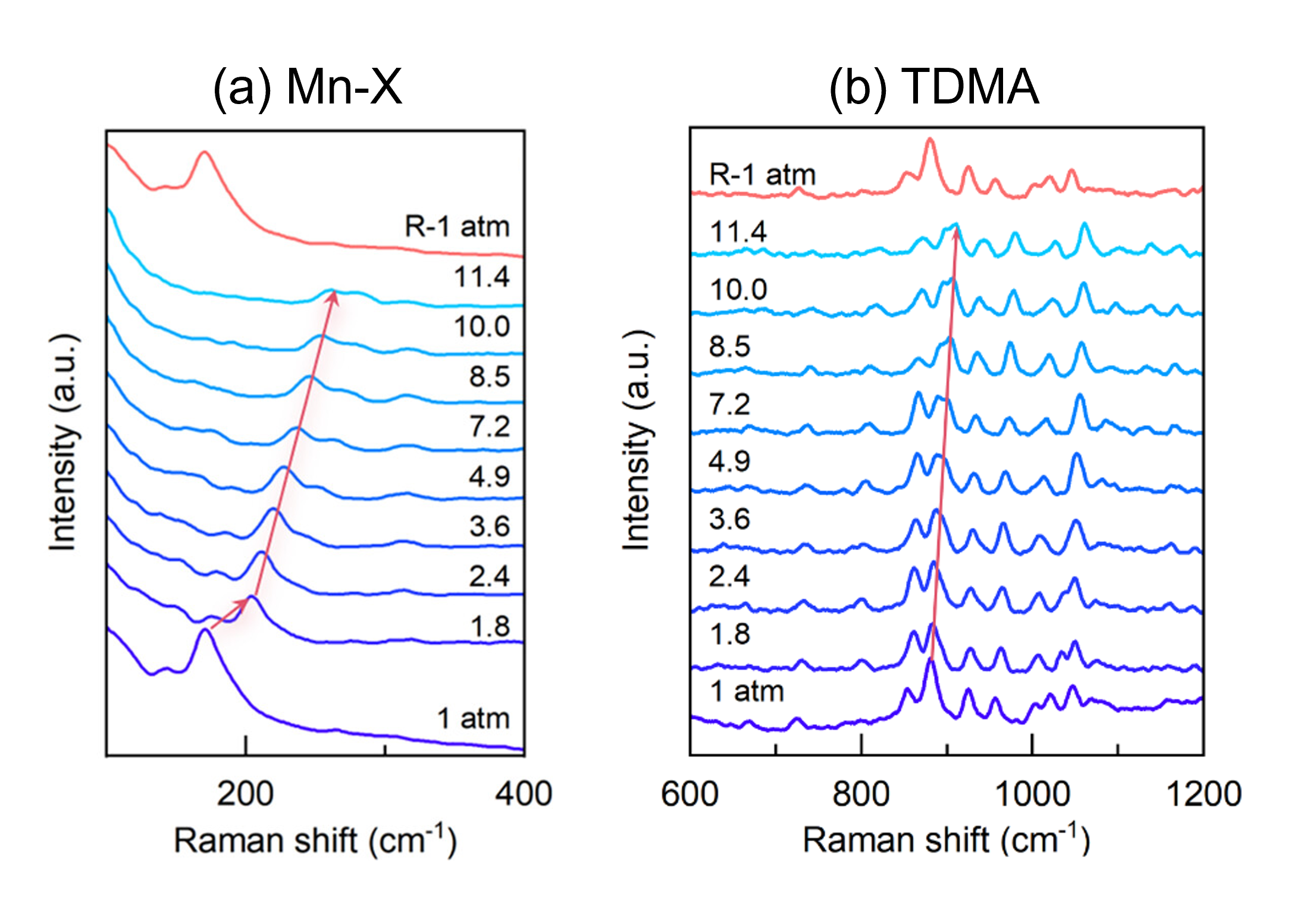 Raman spectra under varying pressure