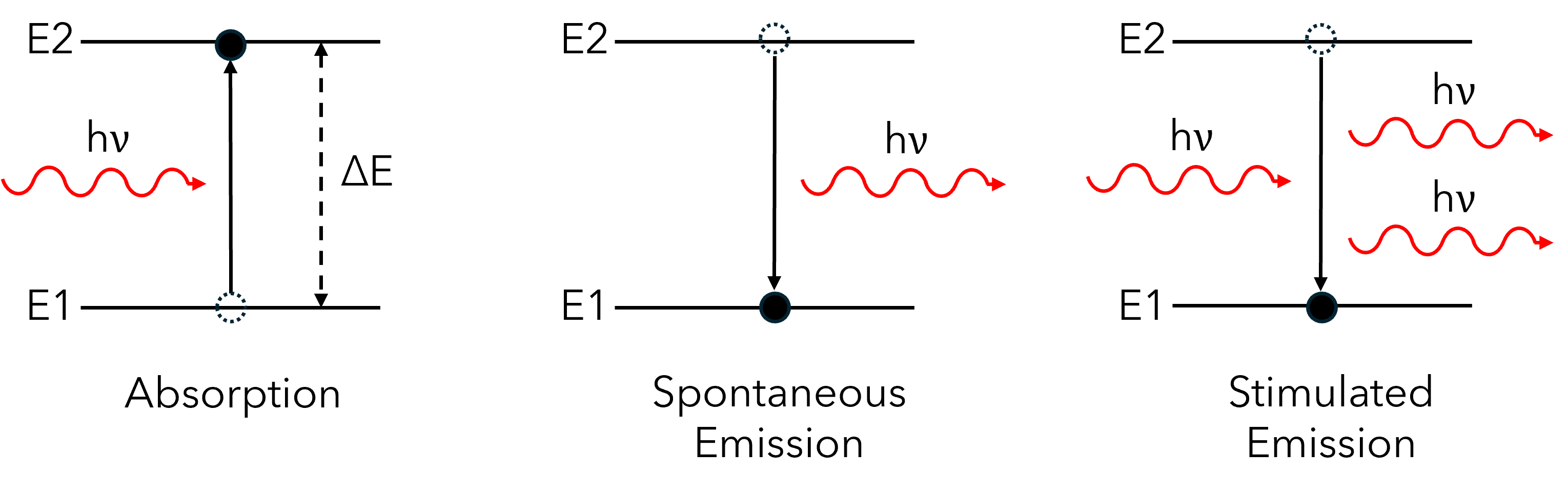 three main processes that may occur when atoms exchange energy with light; absorption, spontaneous emission and stimulated emission